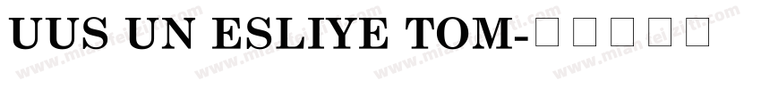 UUS UN ESLIYE TOM字体转换